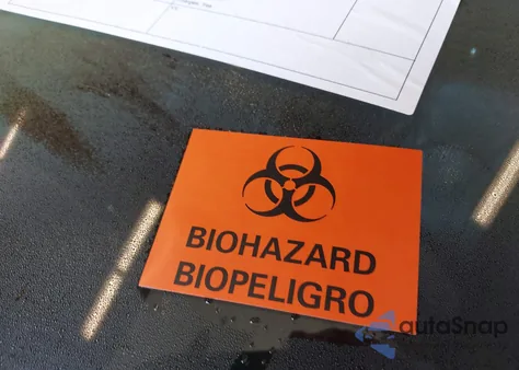 2016 Lexus Rx 350 from USA, damaged, VIN 2T2BZMCA1GC015001